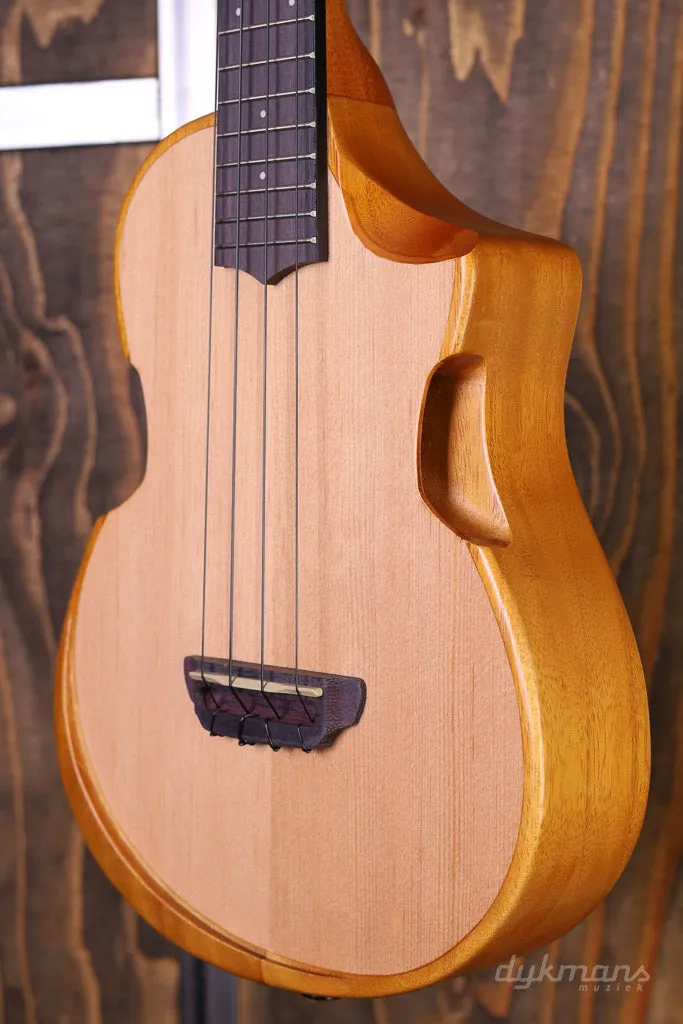 Ibanez AUC10EOPN Ukulele PRE-ORDER!