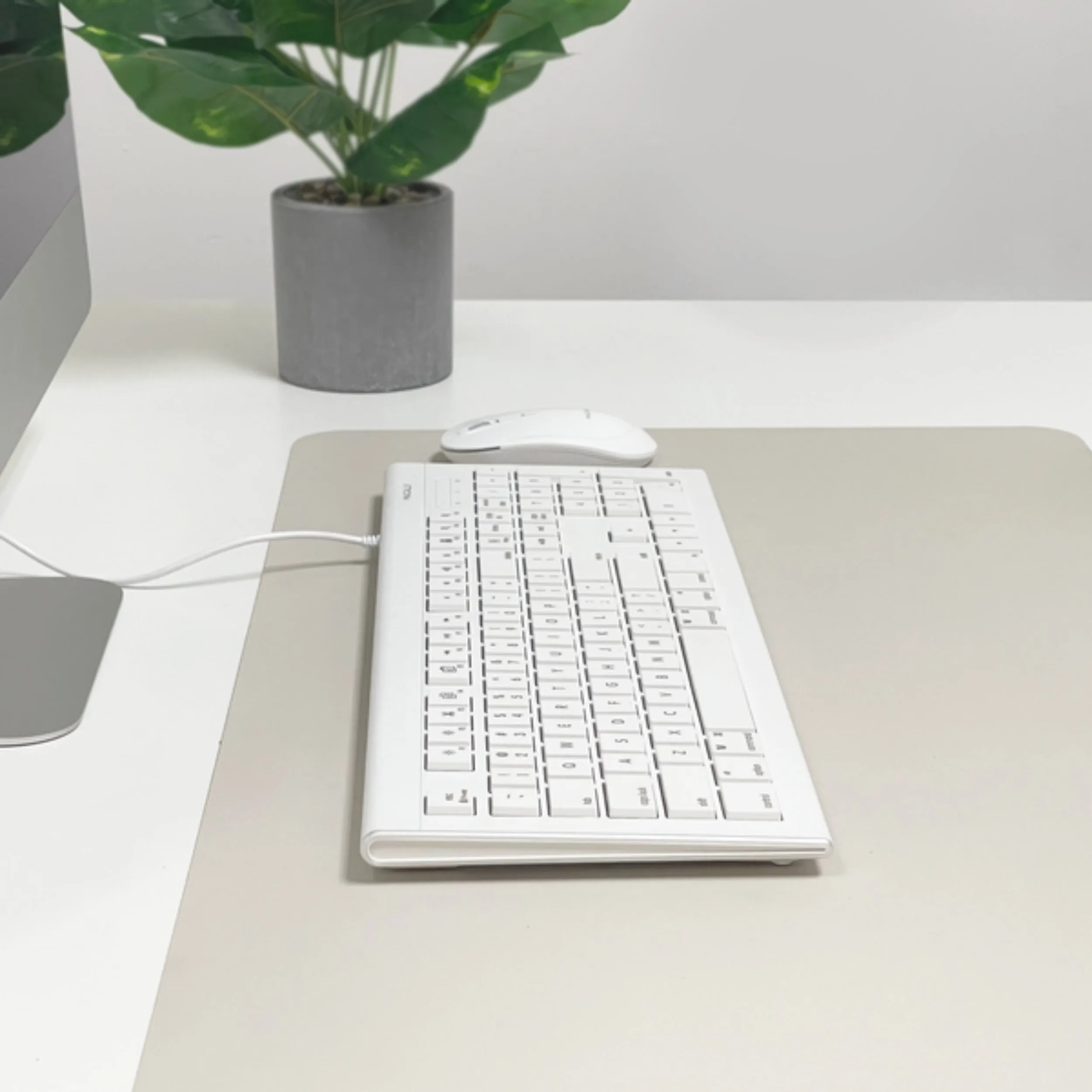 The Standard USB C Keyboard for Mac