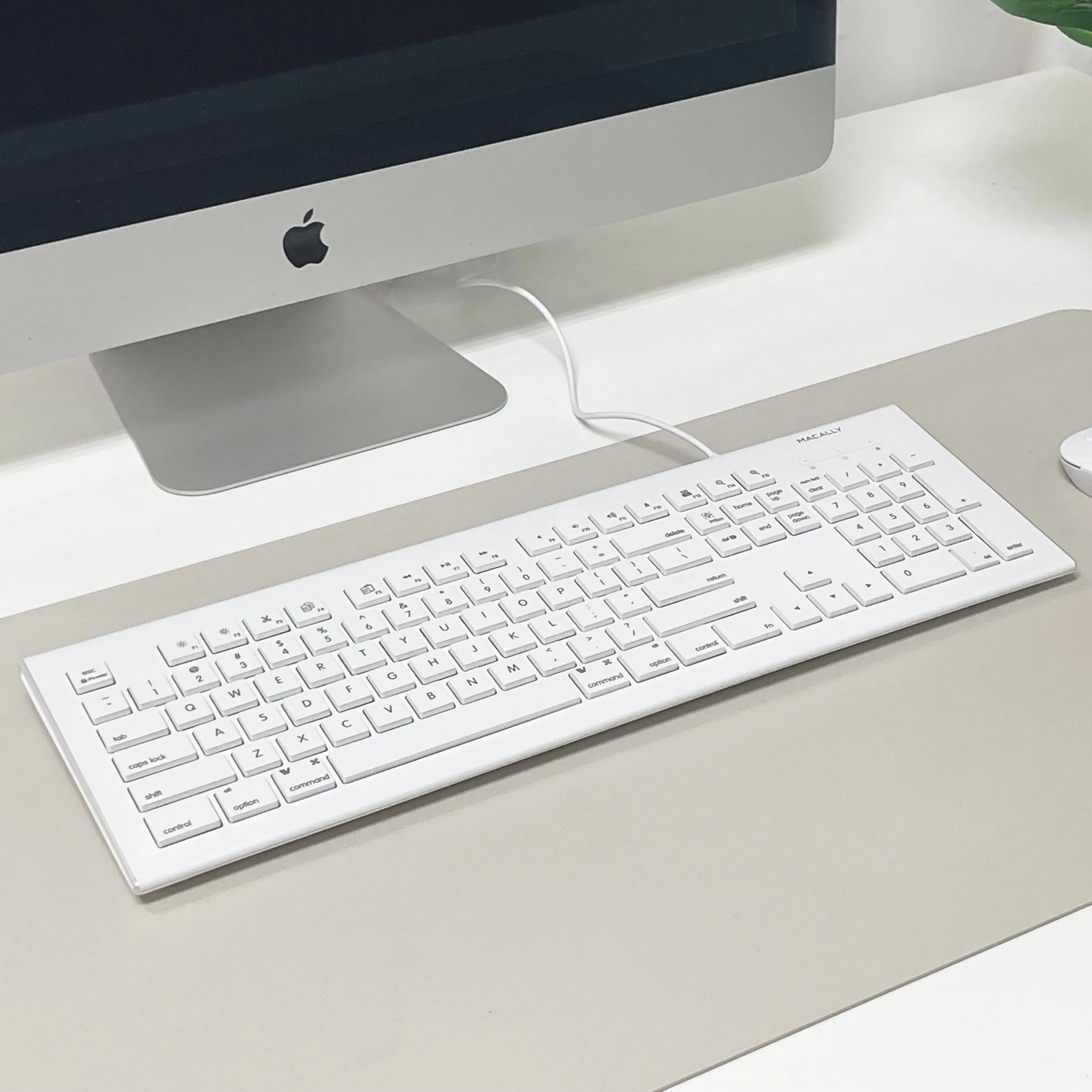 The Standard USB C Keyboard for Mac